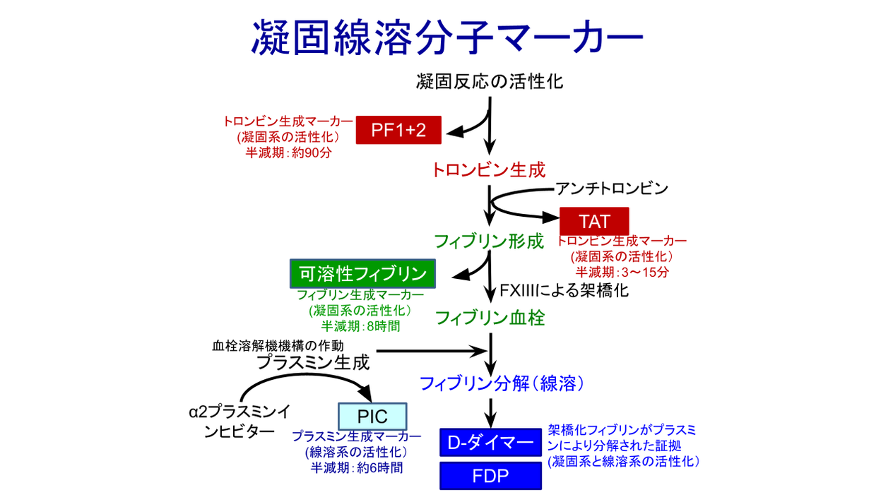 【第53回日本動脈硬化学会レポート】がん関連血栓症の発症機序 | Medical Note Expert (メディカルノート エキスパート)